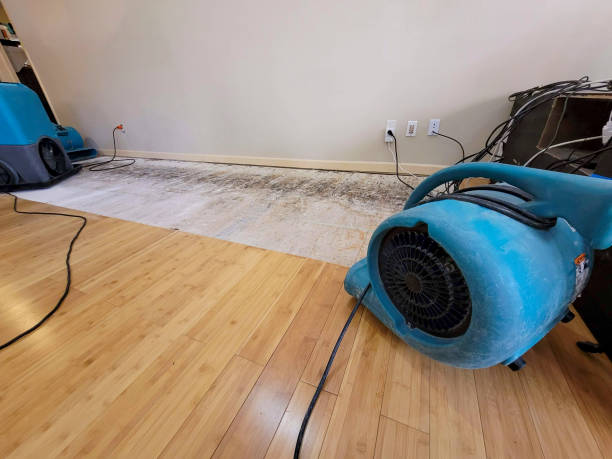 Professional Flood Damage Cleanup technician working in Vanleer, TN
